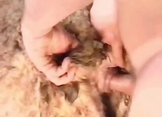 Sheep screwed hard by pervy as fuck zoophile