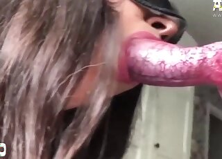 Masked lady shows her oral skills with a dog