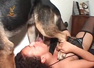 Brown-haired beauty blows a hung dog