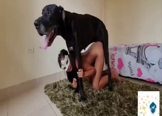 Doggystyle bestiality sex with a black dog