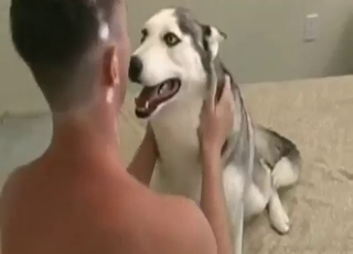 Submissive animal about to take huge dick