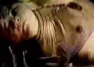 Bestiality porn shows a bunch of hot MILFs