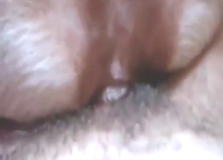 POV pleasure session with a bitch that gapes