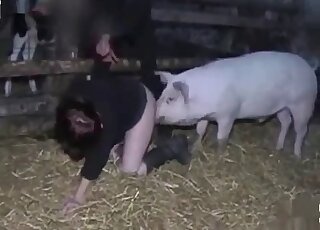Pig is banging a zoophilic wife at the farm