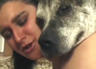 Hot brunette takes that dog penis inside