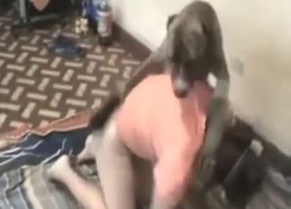 Brown beast fucking girl's hot pussy on all fours