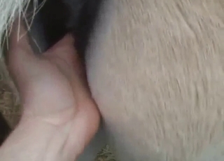 Fingering session for a sexy mare that moans
