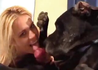 Compilation of oral action with dogs
