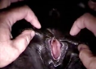 Playing with a big pony pussy in the close-up