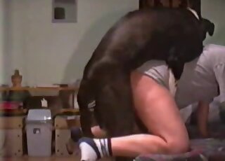 Black doggy roughly fucked a sensual young zoophile - ミルフアニマルポータルサイト 