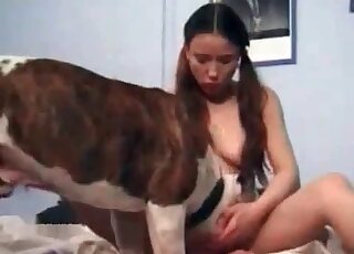 Male beastiality has nothing on this MILF porn mov