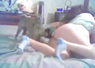 Fun MILF beastiality scene with lots of licking